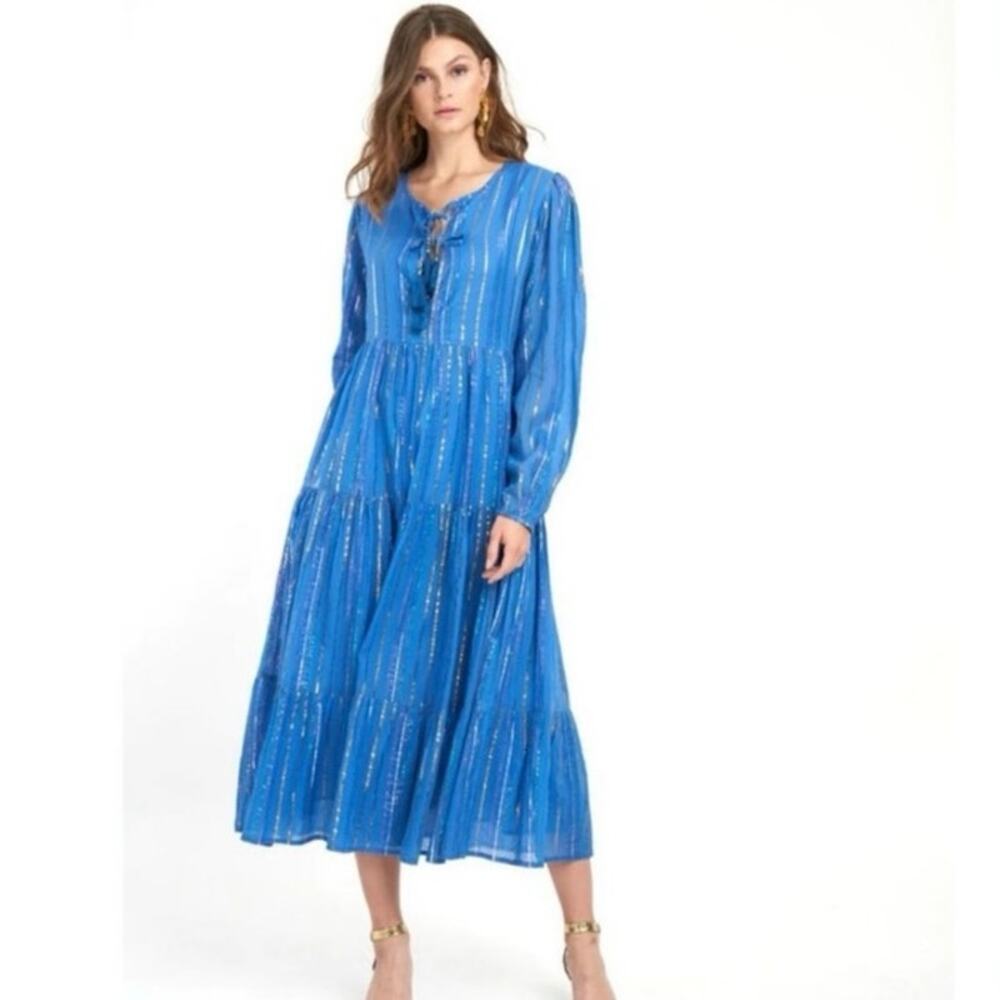 Tuckernuck Oliphant Rio Long Sleeve Metallic Striped Blue Cotton Maxi Dress Sz S